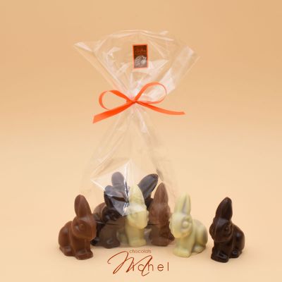 Sachet 5 lapins lait, noir, caramel et ivoire fourrés pralin -150g