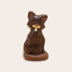 Chat chocolat noir